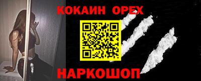 крисы Можга