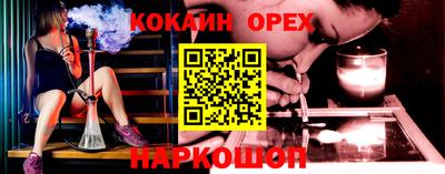 крисы Можга