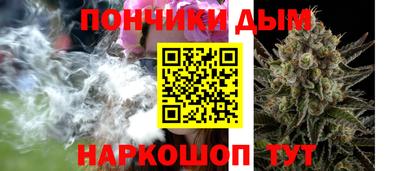 индика Можайск