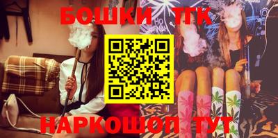 крисы Можга