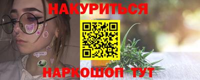 крисы Можга