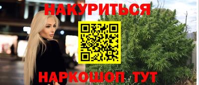 крисы Можга