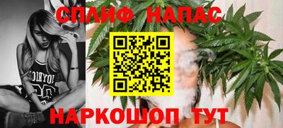 крисы Можга