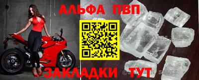 крисы Можга